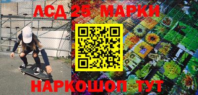 сатива Новозыбков