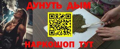 сатива Новозыбков