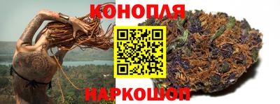 сатива Новозыбков