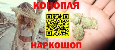 сатива Новозыбков