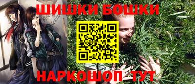 сатива Новозыбков
