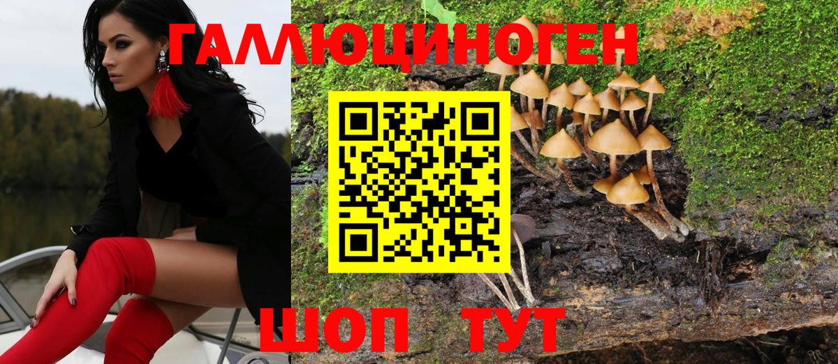 продажа наркотиков  Псилоцибиновые грибы MAGIC MUSHROOMS  Тольятти  Вход с VPN  Галлюциногенные грибы ЛСД 